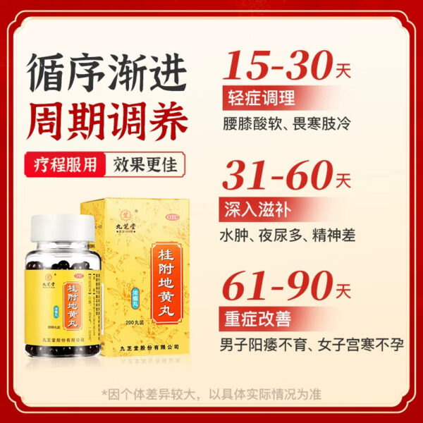 Jiuzhi Tang Guifu Dihuang Pill Genuine Urine Frequent Kidney Deficiency Fuguili Middle Pill Kidney Yang Deficiency Constitution Traditional Chinese Medicine Conditioning Male - Image 4