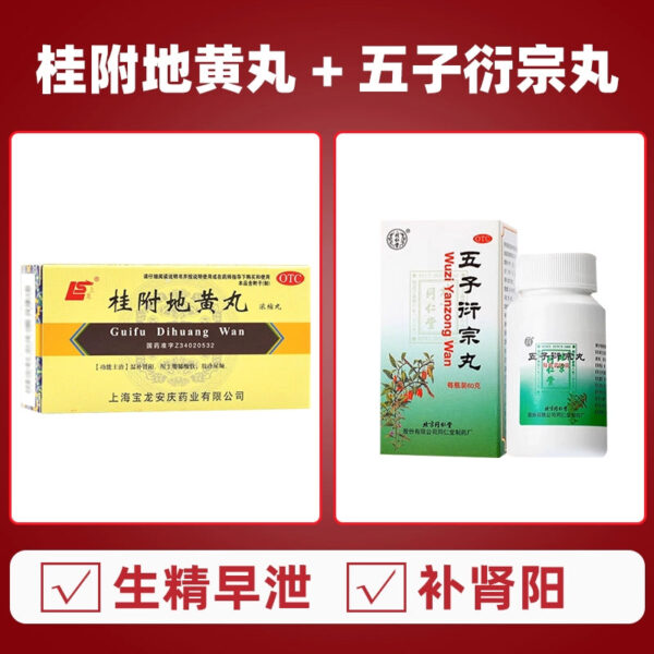 Shanglong Guifu Dihuang Pills (Concentrated Pills) 200 Pills Warm and Nourish Kidney Yang Waist Knee Sour and Soft Limbs Cold Frequent Urination Urinary Urinary Acute More Treatment - Image 8