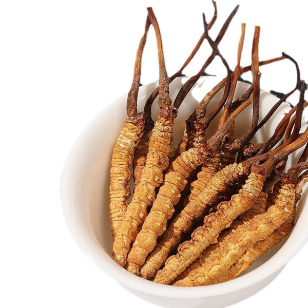 Fudonghai Cordyceps sinensis 2.5g Qinghai soup and tea gift box, Chinese New Year gifts, Mid-Autumn Festival gifts wholesale distribution - Image 5