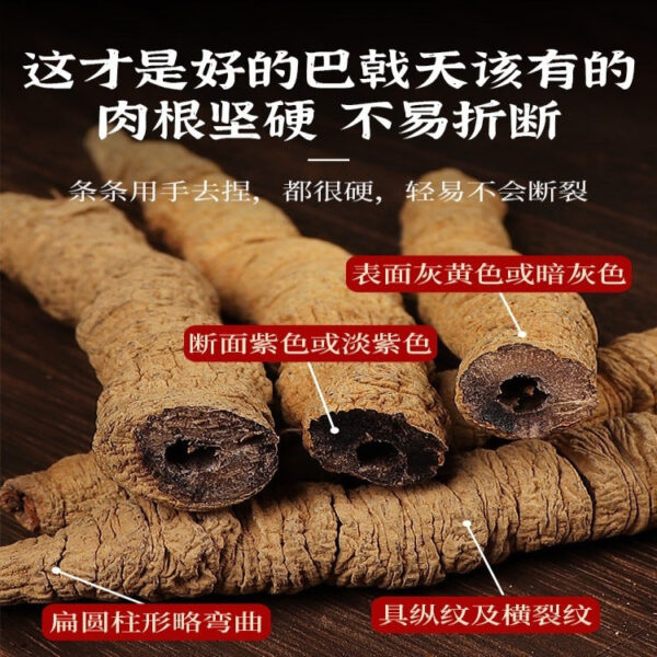 Deqing Morinda officinalis 500g Chinese herbal medicine super genuine Beef Dali Eucommia non-wild male kidney soup bag bubble wine tea - Image 3