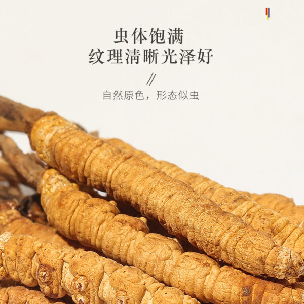 Fudonghai Cordyceps sinensis 4g Qinghai high-altitude source product selected Cordyceps dried wholesale gift box gift wholesale delivery - Image 2
