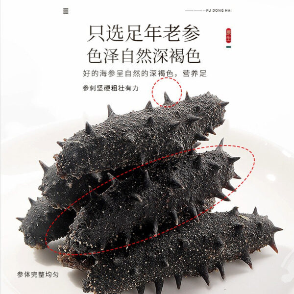 Fudonghai sea cucumber 100g80 heads Liao sea cucumber selected high-end dried sea cucumber gift box, dried seafood, Chinese New Year gifts - Image 4