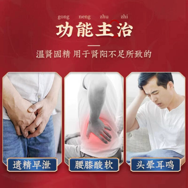 Beijing Tong Ren Tang Suoyang Gujing Pill to invigorate the kidney and treat premature ejaculation for men with traditional Chinese medicine Jiuguyang Suojin Pill Dami Pill - Image 3