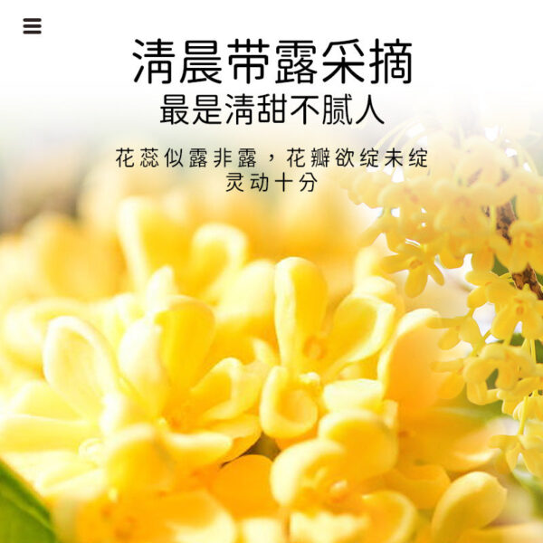 Fudonghai osmanthus 30g/tin can osmanthus tea dried osmanthus edible golden osmanthus flower grass tea health tea wholesale distribution - Image 4