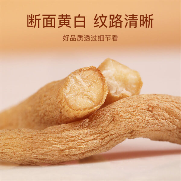 Fudonghai Prince Ginseng 100g/can Wholesale Fujian source Chinese herbal medicines New in the season Guangdong soup dry goods - Image 3
