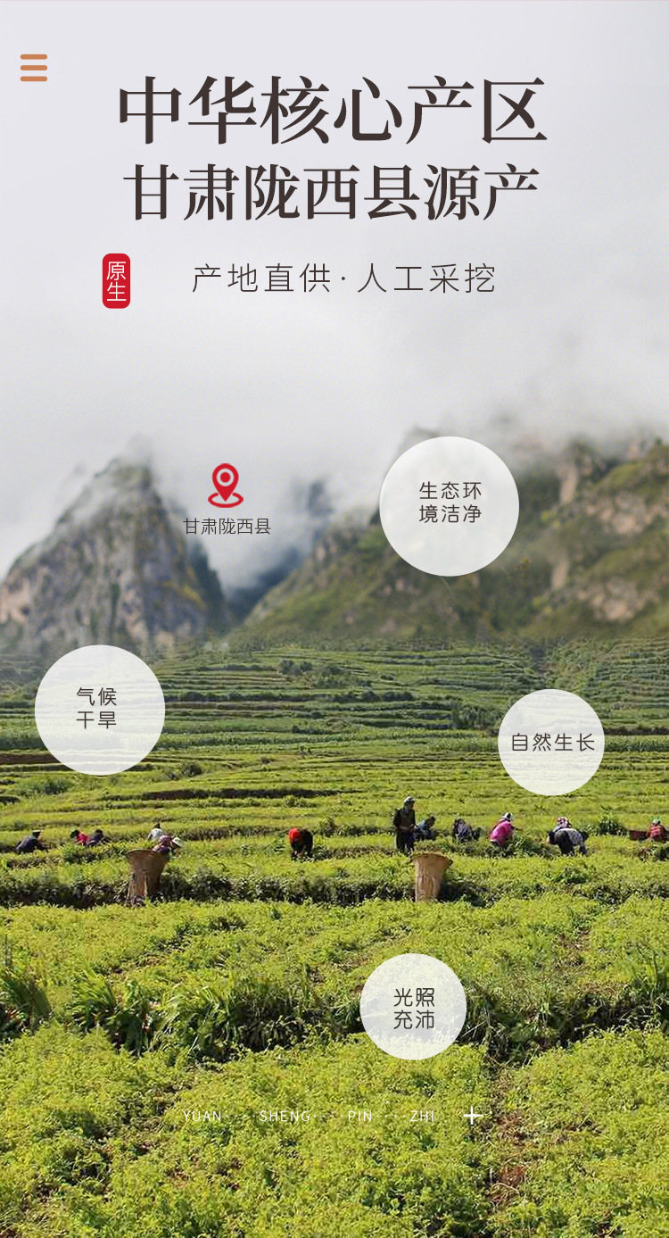 黄芪250克详情页_07.jpg