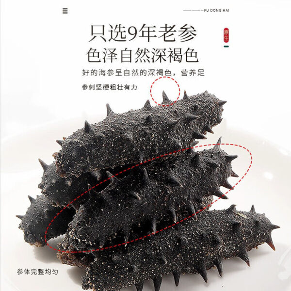 Fudonghai sea cucumber 120g, Fufeng gift box, soup ingredients, raw materials, gift wholesale, micro-business medicinal materials - Image 4