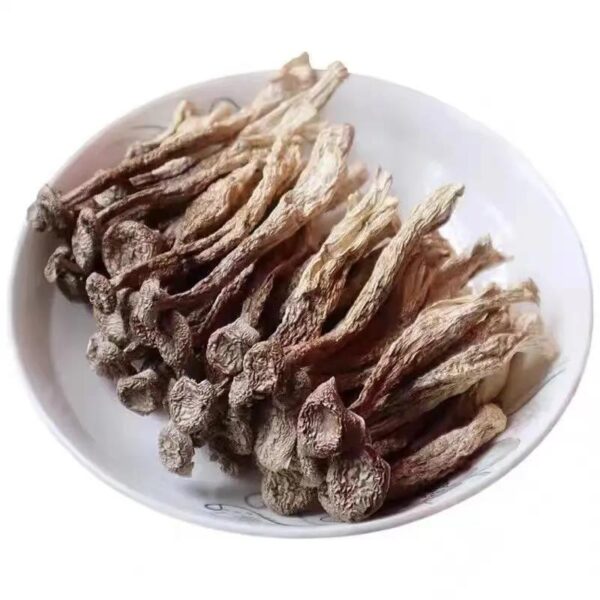 Deer Antler Mushrooms Delicious Selection Selected Dry Goods Crispy Mushrooms Deer Antler Mushrooms Fresh Dry Mushrooms Shiitake Mushrooms - Image 5