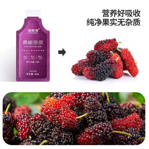 Fudonghai mulberry puree 300ml Mid-Autumn Festival gift, black mulberry fruit, freshly squeezed mulberry puree, mulberry wholesale delivery - Image 5