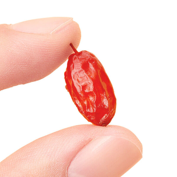 Fudonghai dogwood Chinese herbal medicine genuine new 210g seedless jujube peel mountain dogwood meat dried goods head stubble big fruit wholesale - Image 5