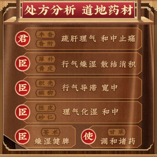 Tong Ren Tang Muxiang Shunqi Pills - Image 4