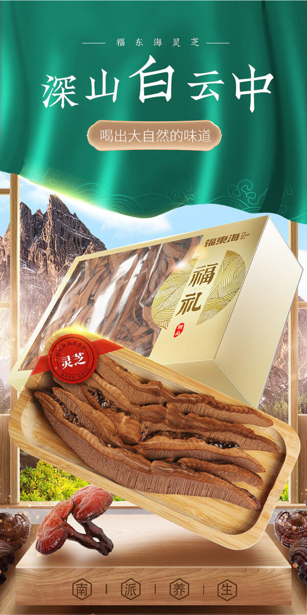 Fudonghai Ganoderma lucidum 250g/box wholesale wild natural high-quality sliced Ganoderma lucidum gift box gift Chinese herbal soup - Image 6