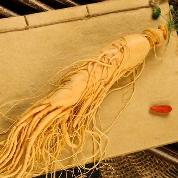 Fresh ginseng, Northeast Changbai Mountain sparkling wine for 10 years, extra large fresh ginseng, dried wild mountain ginseng, Jilin raw sun dry goods life - Image 3