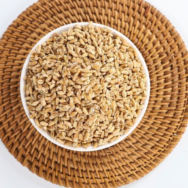 Floating wheat, traditional Chinese medicine, deflated wheat, Huai wheat, genuine red dates, sweet wheat, jujube soup, tea, free cooking Ni Haixia - Image 3
