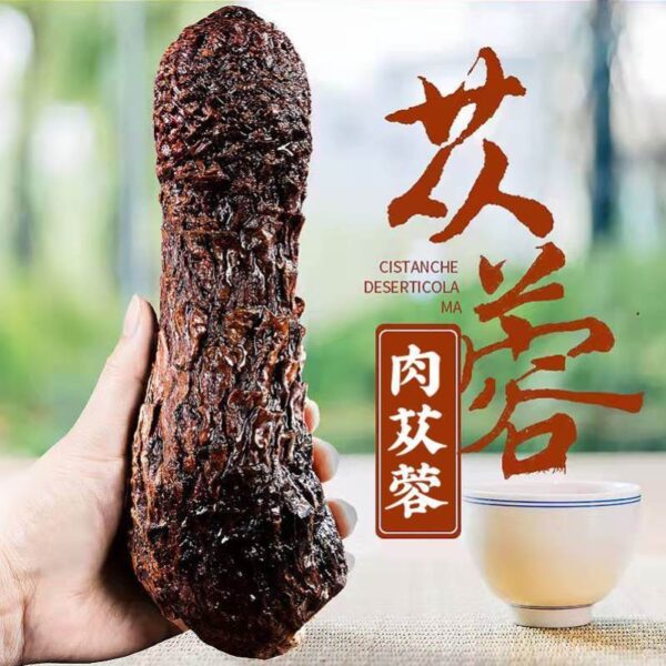 Cistanche 500g Inner Mongolia Alxa non-special non-wild flagship store Chinese herbal medicine whole root Cistanche genuine