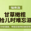 Fudonghai Licorice Olive 500g Chicken Rooster Fresh Fruit Candied Fruit Dried Snack Food Snacks Wholesale - Image 6