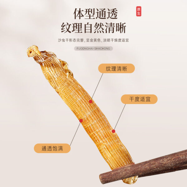 Fudonghai sand worms 30g/bottle dried sand worms Guangdong specialty seafood porridge dry seafood seafood wholesale - Image 4