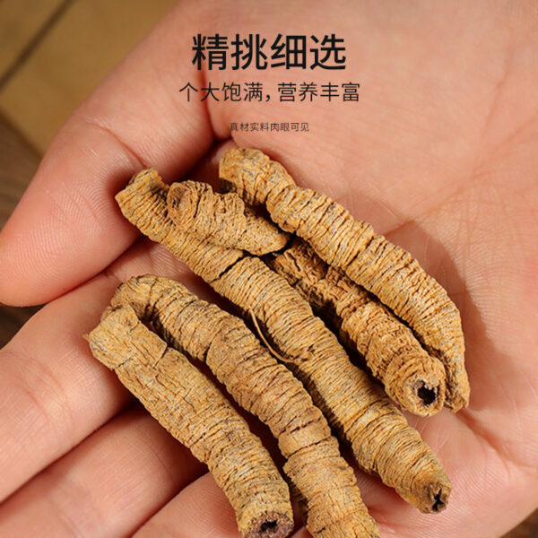 Fudonghai Morinda officinalis 100g fresh halberd meat pumping heart dry goods wine material nourishing tea making wine making soup - Image 4