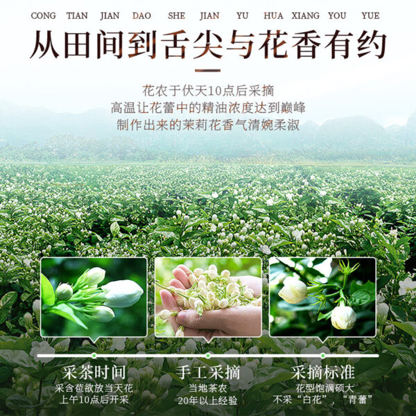 Fudonghai Jasmine 50g Health Tea Wholesale Dry Jasmine Tea Bud Ball Baihao Luxiang Hair - Image 4