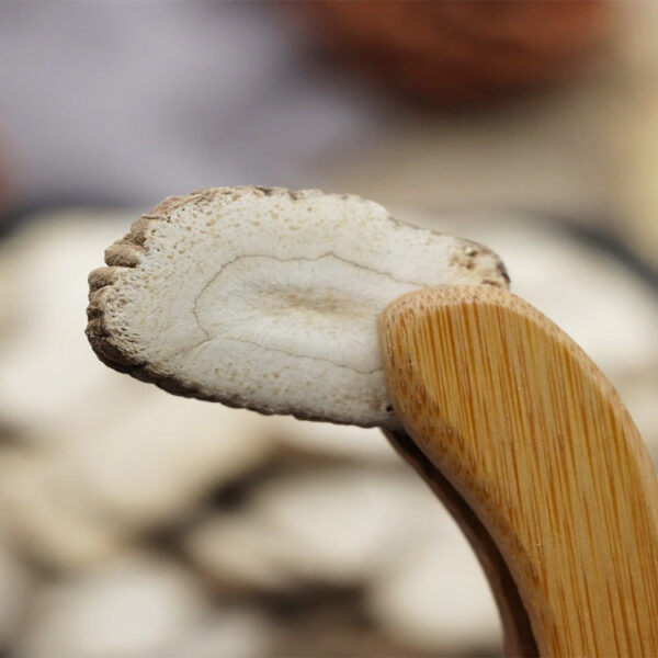 Baizhi Chinese Medicinal Materials Sichuan Baizhi Root Baizhi Root Tablets Baizhi Baizhi Baizhi Natural Free Shipping 500g - Image 4
