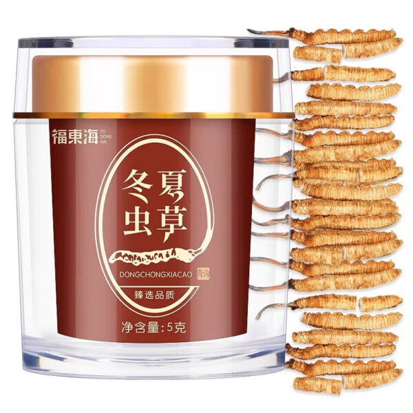 Fudonghai Cordyceps sinensis 5g (4 pieces/g) Qinghai independent packaging gift box tea gift wholesale delivery