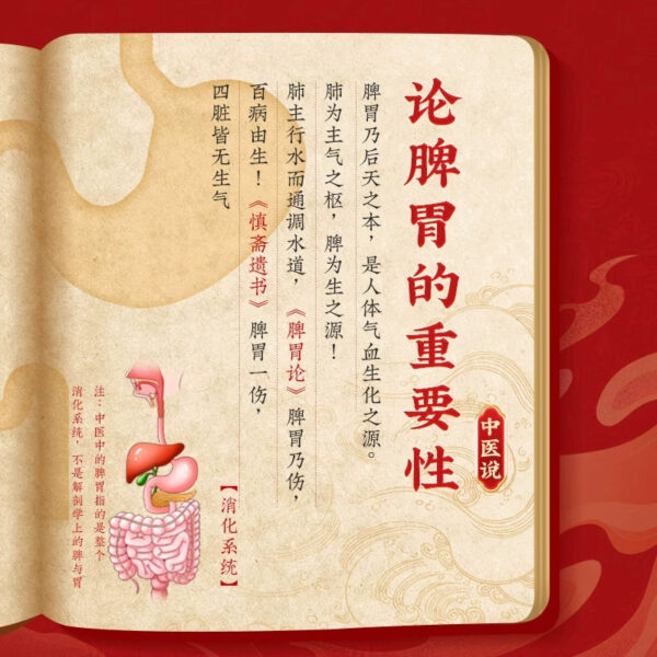 3 boxes] Beijing Tong Ren Tang Shenling Baizhu Powder to strengthen the spleen, appetizer and remove dampness, regulate the spleen, gastrointestinal constipation and remove moisture - Image 3