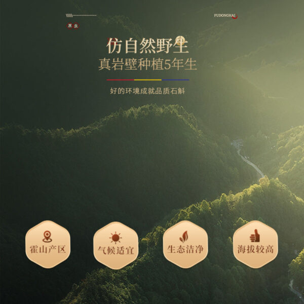 Fudonghai Dendrobium 100g bottle Fengdou five-year-old Huoshanyuan selected Chinese medicinal materials Dendrobium dried strips are rich in gum - Image 3