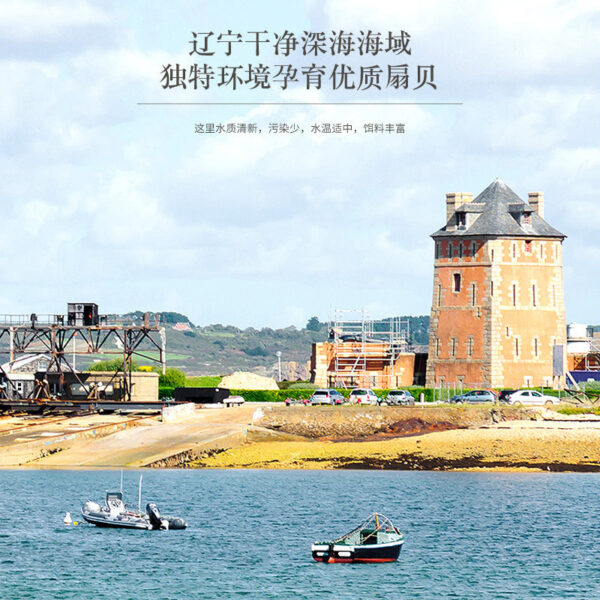 150g Fudonghai dried scallops, Liaoning deep-sea dried scallops, seafood dried goods wholesale, air-dried, soup, porridge, ingredients - Image 2