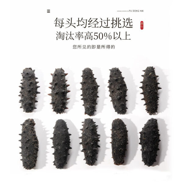 Fudonghai sea cucumber 100g80 heads Liao sea cucumber selected high-end dried sea cucumber gift box, dried seafood, Chinese New Year gifts - Image 5