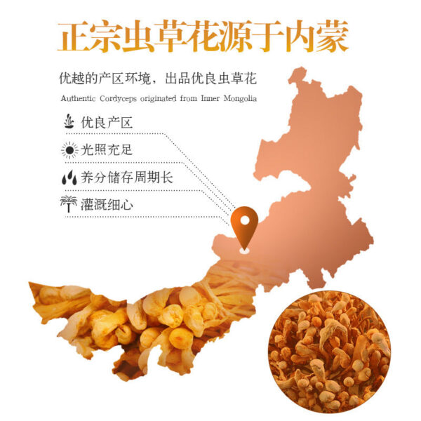 Cordyceps official flagship store dry goods 250g golden chrysalis cordyceps dried mushroom soup package stewed chicken soup from Cong Caohua commercial - Image 4