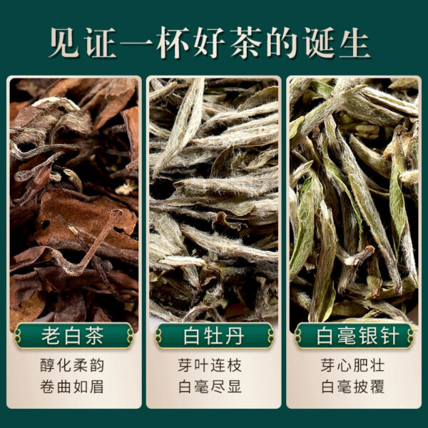 2025 New Tea Premium Mingqian Spring Tea Fujian White Tea Baihao Yinzhen White Peony Old White Tea Experience Tasting Bulk - Image 4