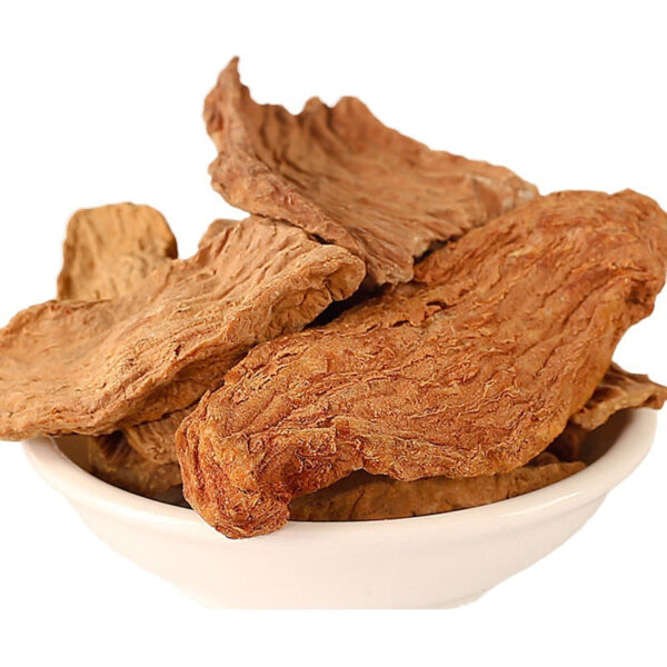 Fudonghai Lock Yang 250g canned Inner Mongolia Lock Yang slices male nourishing edible slices dry goods sparkling wine wholesale - Image 5