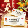 Tong Ren Tang Muxiang Shunqi Pills - Image 6