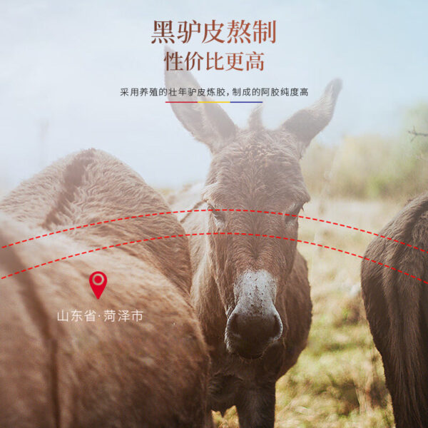 Fudonghai Ejiao Products 31.25g Wholesale Black Donkey Skin Boiled Ejiao Cake Send Girlfriend Send Mom Send Elder - Image 3