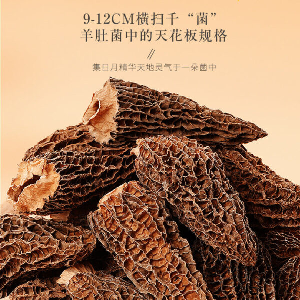 Fudonghai morels 150g Yunnan specialty pointed top morels 9-12cm dry goods mushrooms soup head stubble new goods - Image 3