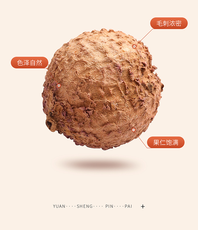方罐砂仁65克页面_08.jpg