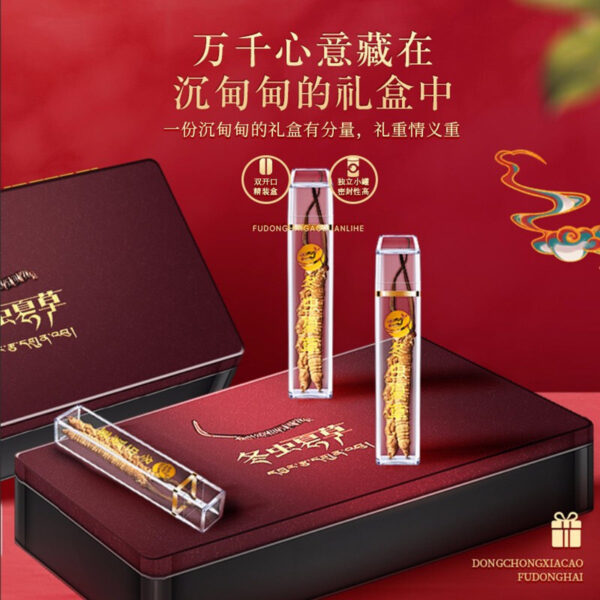 Fudonghai Cordyceps sinensis 4-5 pieces 5g/box Qinghai origin high altitude Cordyceps sinensis wholesale first freeze-dried gift box - Image 4