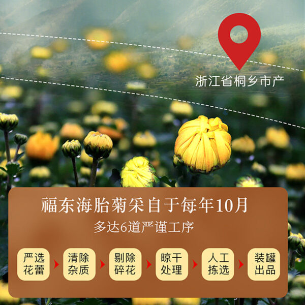 Fudonghai fetal chrysanthemum 60g/can fetal chrysanthemum Wang Tongxiang bulk head picking fetal chrysanthemum Wang Hangbai chrysanthemum wholesale flower and grass tea canned - Image 2