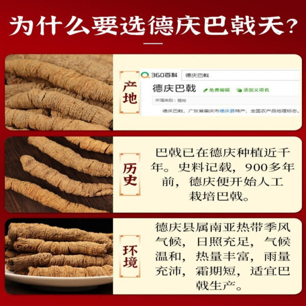 Deqing Morinda officinalis 500g Chinese herbal medicine super genuine Beef Dali Eucommia non-wild male kidney soup bag bubble wine tea - Image 2