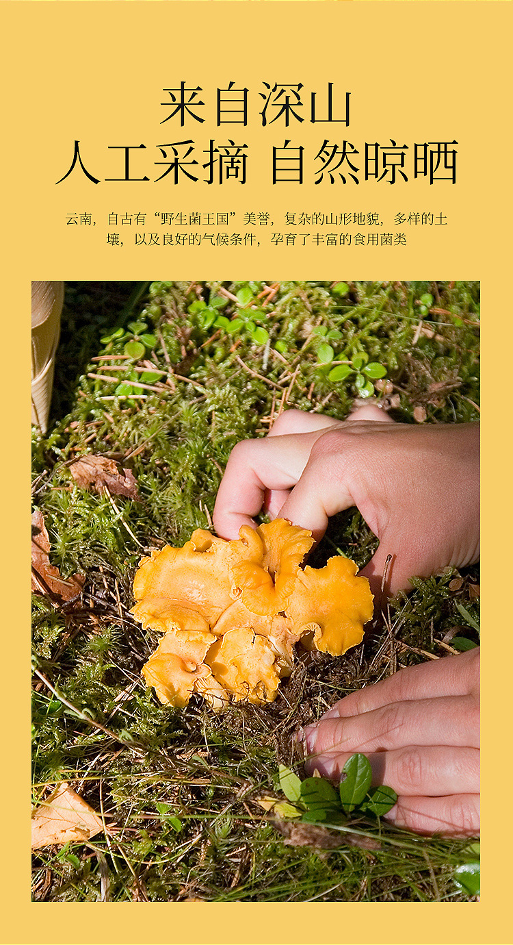 七彩菌汤包60克详情页_05.jpg