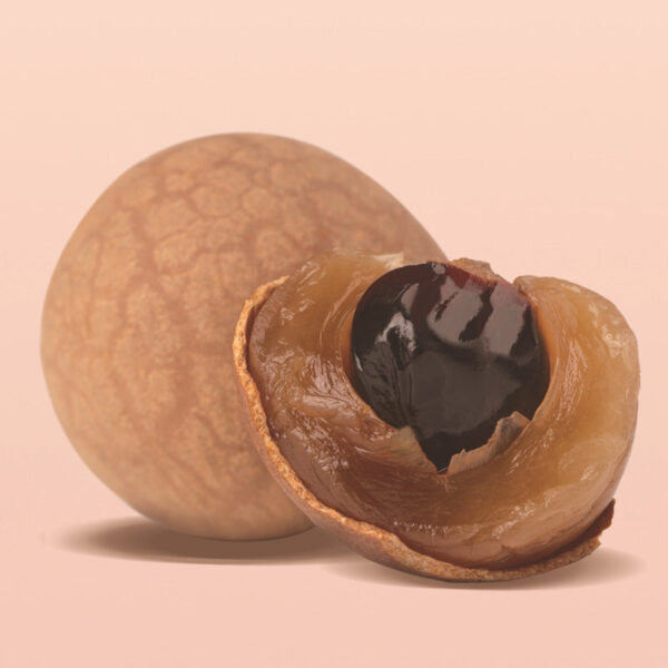 Fudonghai dried longan 250g, new longan dried with shell dried longan meat, Guangdong Gaozhou specialty wholesale delivery - Image 4