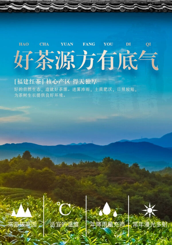 Zhengshan small species new tea tea leaves Fujian black tea Zhongmin Hongtai Yan Chuang World 500g premium gift box canned in bulk - Image 6