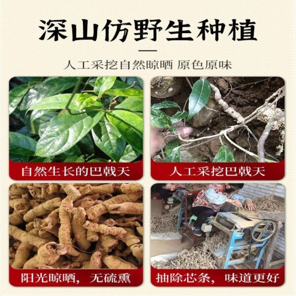 Deqing Morinda officinalis 500g Chinese herbal medicine super genuine Beef Dali Eucommia non-wild male kidney soup bag bubble wine tea - Image 4