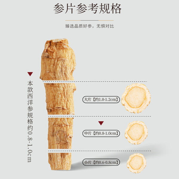 Fudonghai American Ginseng Slices 200g Gift Box, Jilin Changbai Mountain Nourishing Body Soup Materials Soaked in Water Ginseng Tea - Image 4