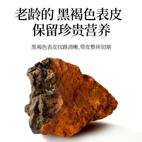 Birch velvet Russian flagship store wild genuine one catty black gold granular tea genuine wild non-Changbai Mountain - Image 3