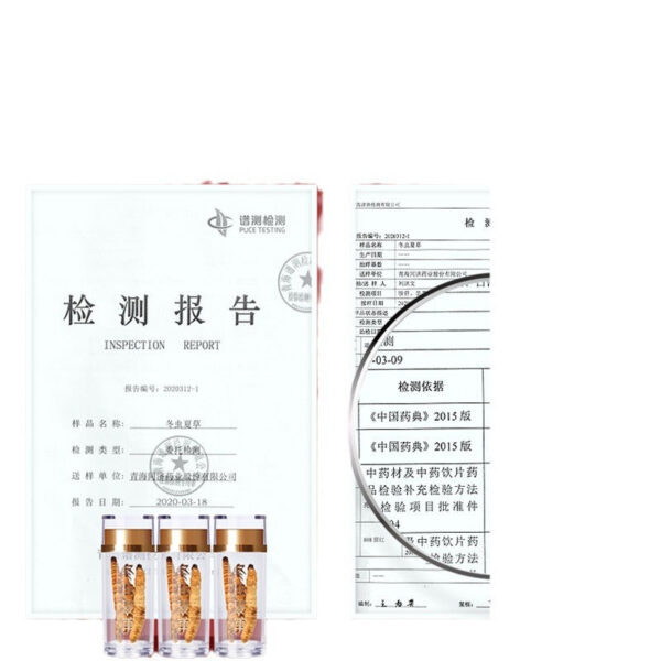 Fudonghai Cordyceps sinensis 10g gift box, Qinghai first season freeze-dried Cordyceps sinensis whole worm broken grass gift wholesale - Image 5