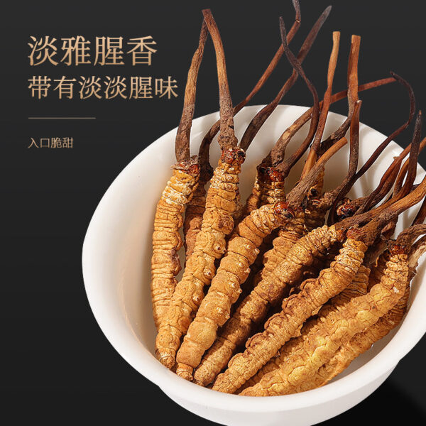 Fudong Sea Cordyceps sinensis 4g wholesale Qinghai origin high-quality Cordyceps sinensis exquisite gift box cordyceps dried gift - Image 5