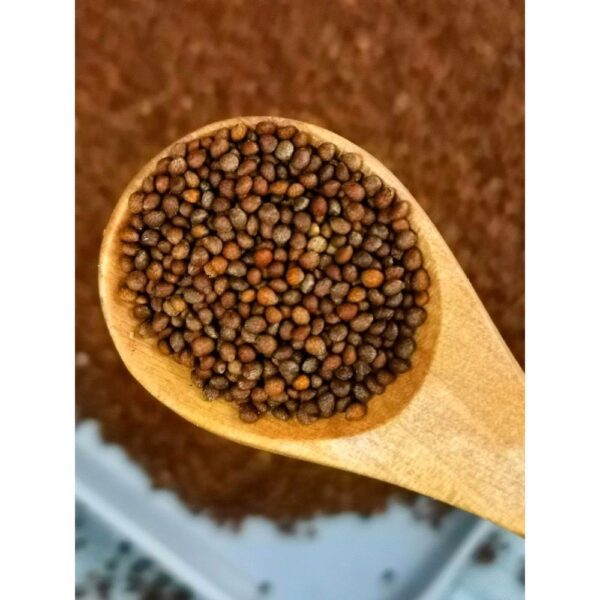 Cooked perilla seeds 500g new goods baked perilla seeds edible fried perilla seeds moon cake filling barbecue seasoning - Image 2