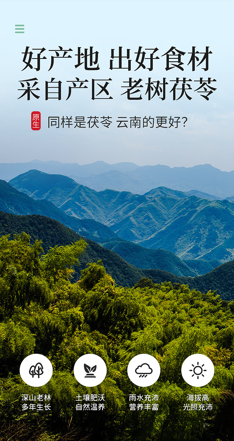 茯苓300克_04.jpg