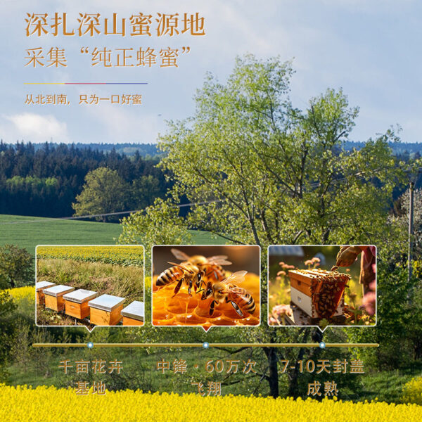 Fudonghai Baihua honey 300g, independent small bags of instant honey soaked in water Shandong specialty tea wholesale - Image 2